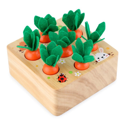 Wooden Matching Puzzles